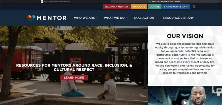 mentoring org1 768x364